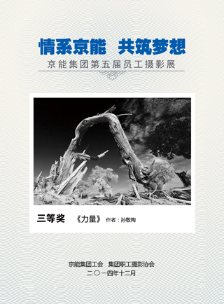 PG电子·仿照器(试玩游戏)官方网站
