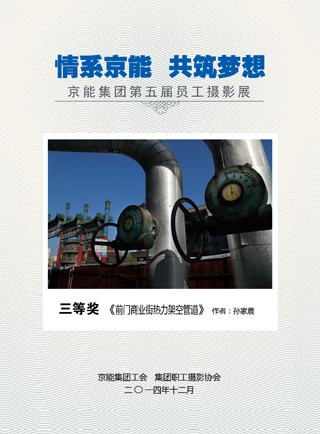 PG电子·仿照器(试玩游戏)官方网站