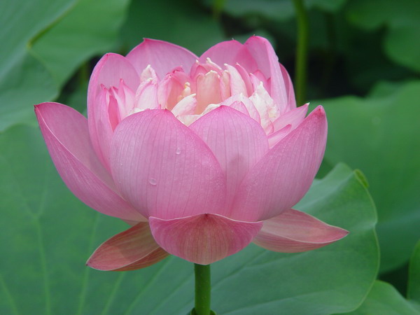 PG电子·仿照器(试玩游戏)官方网站