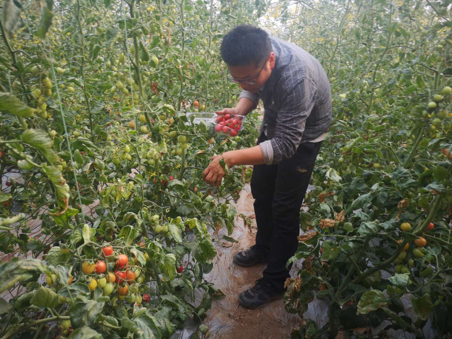 PG电子·仿照器(试玩游戏)官方网站